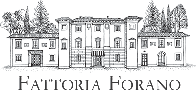 Azienda Agricola Forano