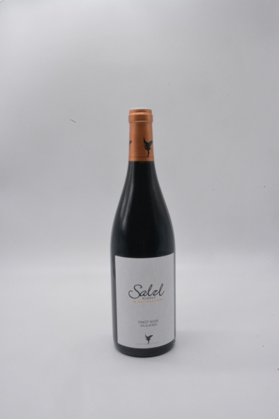 Pinot Noir Salzlacken 2019 Qualitätswein