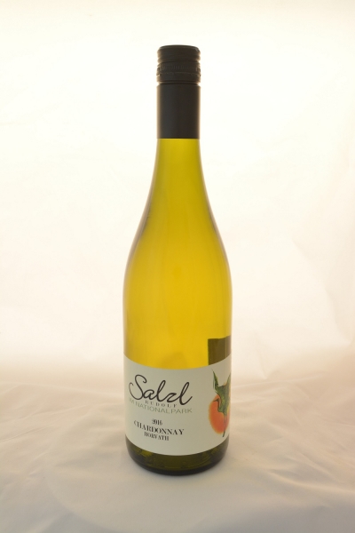 Chardonnay Horvath 2021